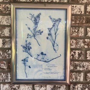 Blue and White Modern Classic Botanical Flower Framed Wall Art Yellow Sorrel